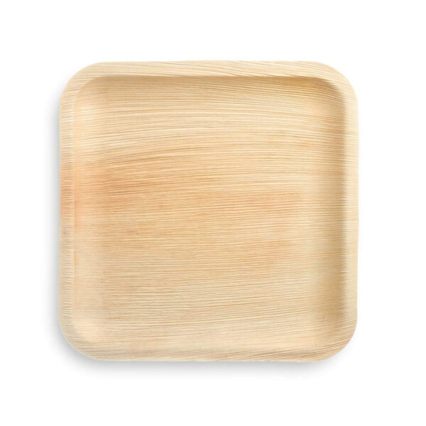 10” Inch Shallow Square Plate