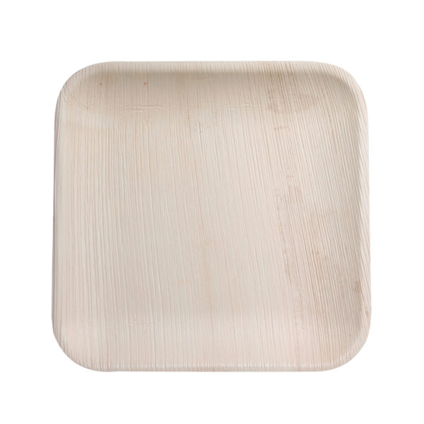 7” Inch Shallow Square Plate