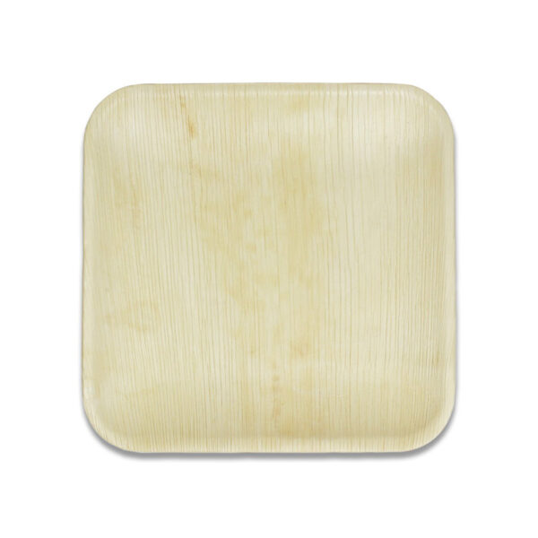 8” Inch Shallow Square Plate